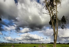 天涯社区亚洲论坛：亚洲文化交流的温暖大家庭！