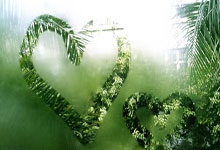 天涯社区如何赚钱：揭秘这个老牌论坛的收入来源！