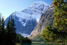 天涯社区亚洲论坛：亚洲文化交流的温暖大家庭！