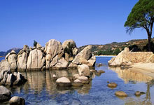 天涯社区下载的文件在手机哪里？跟我一步步学学这个，很多人用手机看天涯社区论坛，下载文件却不知道放哪儿了。别慌，我来手把手教你。